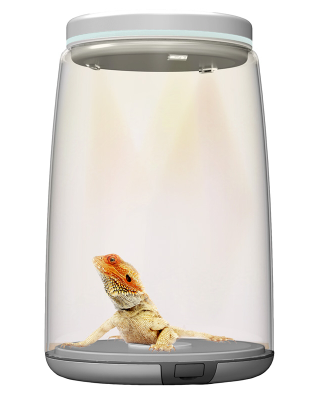 Illustration for article titled Finally, an ethical way to trap your favorite animals inside a jar